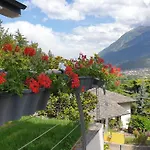 Oasi Verde
